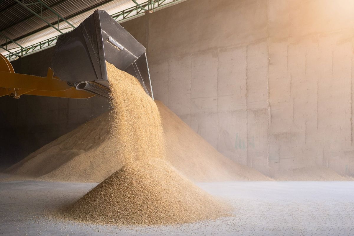 Raktározási ismeretek felsőfokon – a MATE hiánypótló képzésével