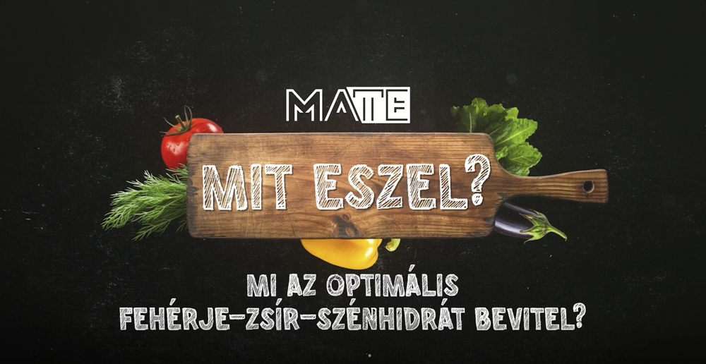 MA TE mit eszel? Mi az optimális fehérje-zsír-szénhidrát bevitel?
