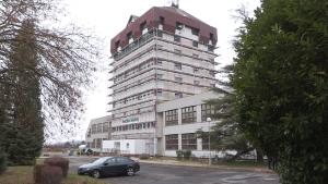 Parancsikon