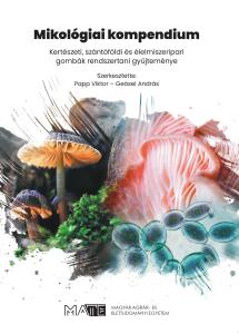 Parancsikon
