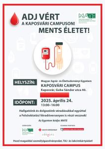 Parancsikon