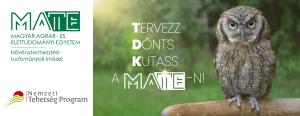 NTTI TDK logo