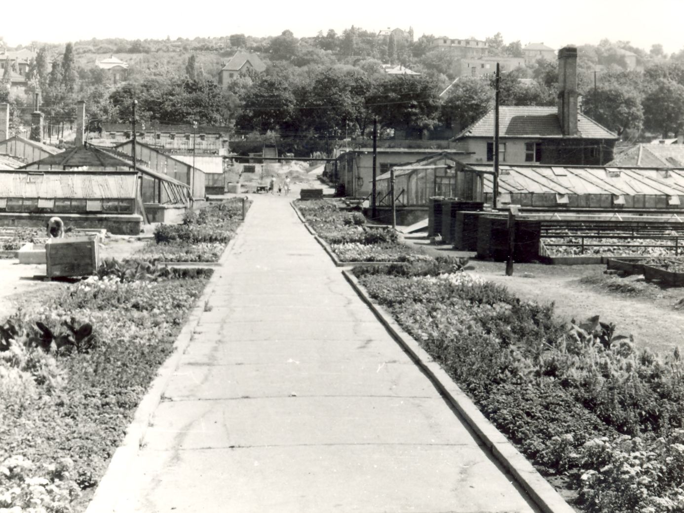 A Budai Kísérleti tér 1962.