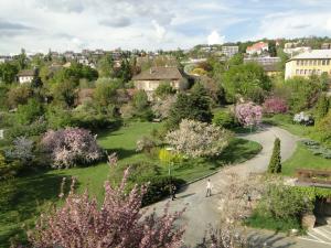 Budai Arborétum