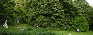 Budai Arborétum