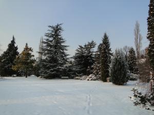 Budai Arborétum