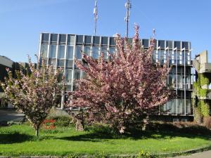 Budai Arborétum