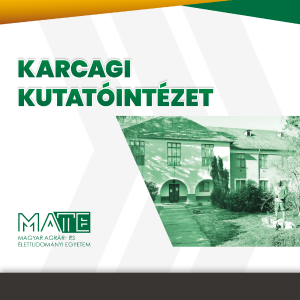 Parancsikon