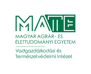 Parancsikon