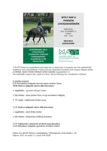 Parancsikon