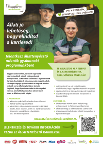 Parancsikon