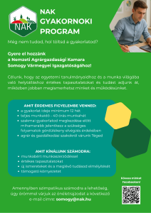 Parancsikon