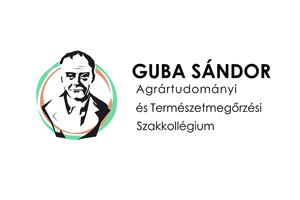 Parancsikon