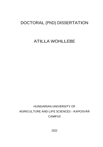 Parancsikon