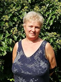 Parancsikon