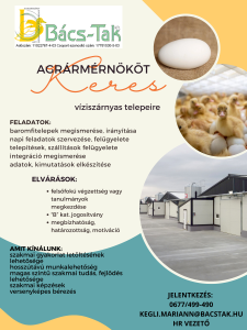 Parancsikon