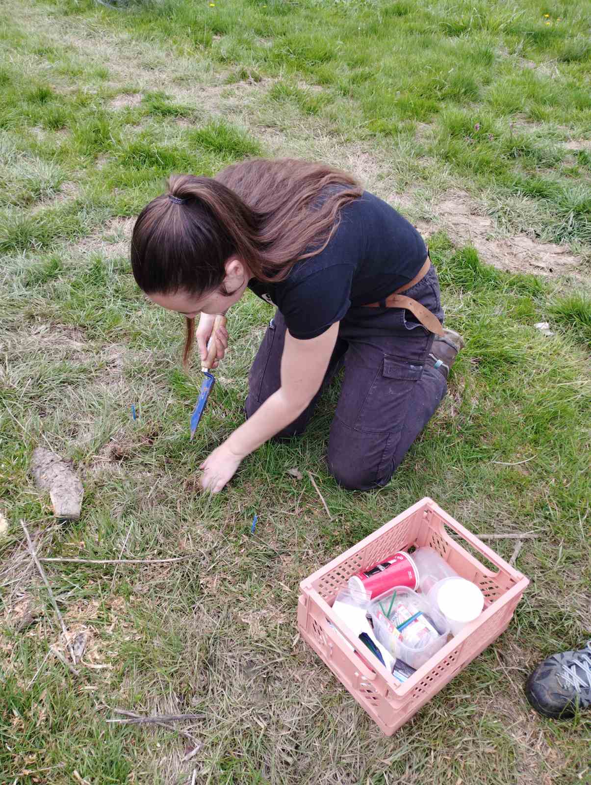 Soil sampling at the pilot site