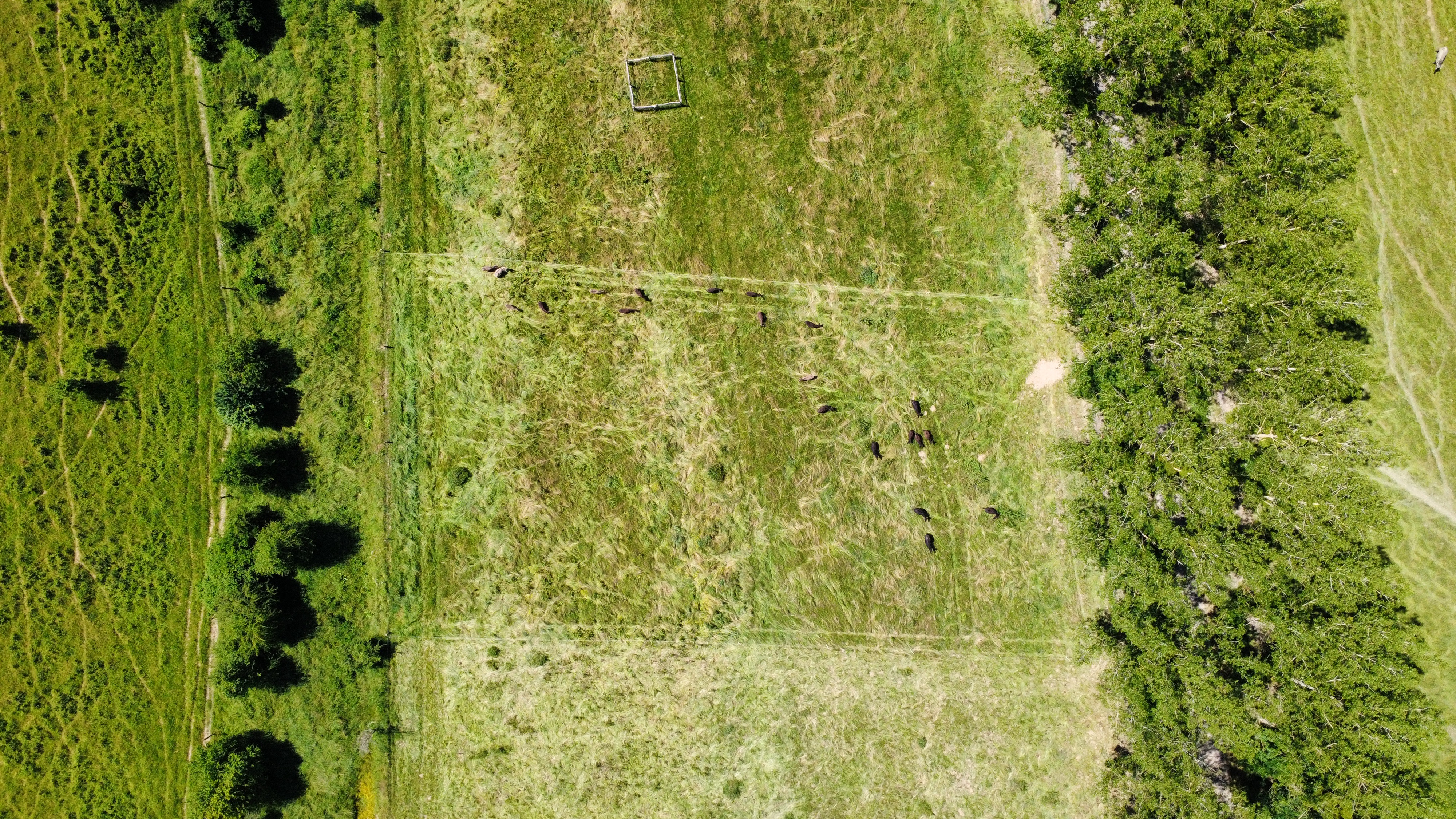 Drone shot of the landscape