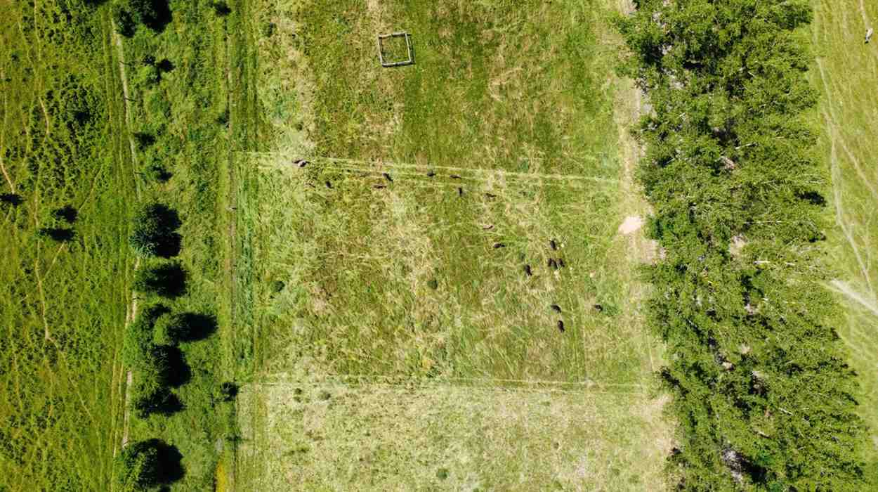 Drone shot of the landscape