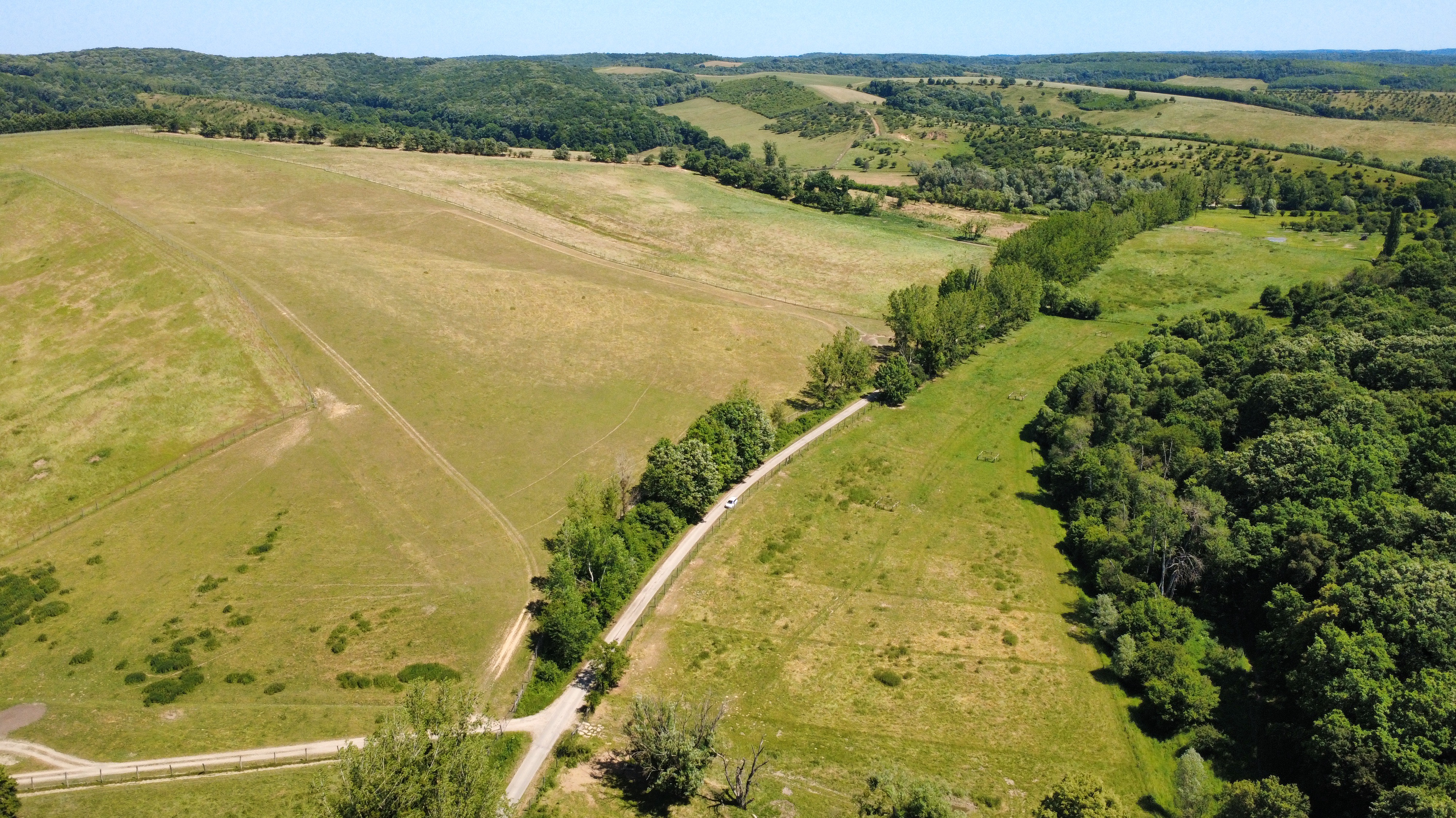 Drone shot of grazing land